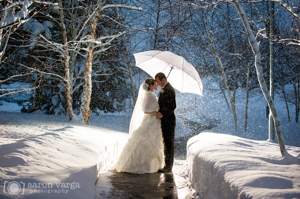 http://www.weddingsinostuni.com/resources/Pittsburgh-Winter-Wedding.jpg